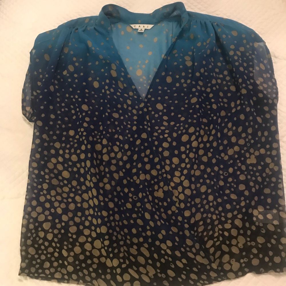 CAbi Small Blue, Teal & Gold Sheer Top